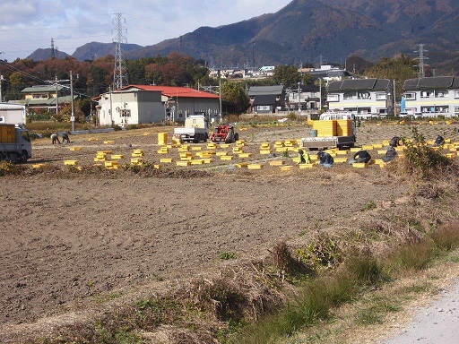 竹林通信　こんにゃく堀