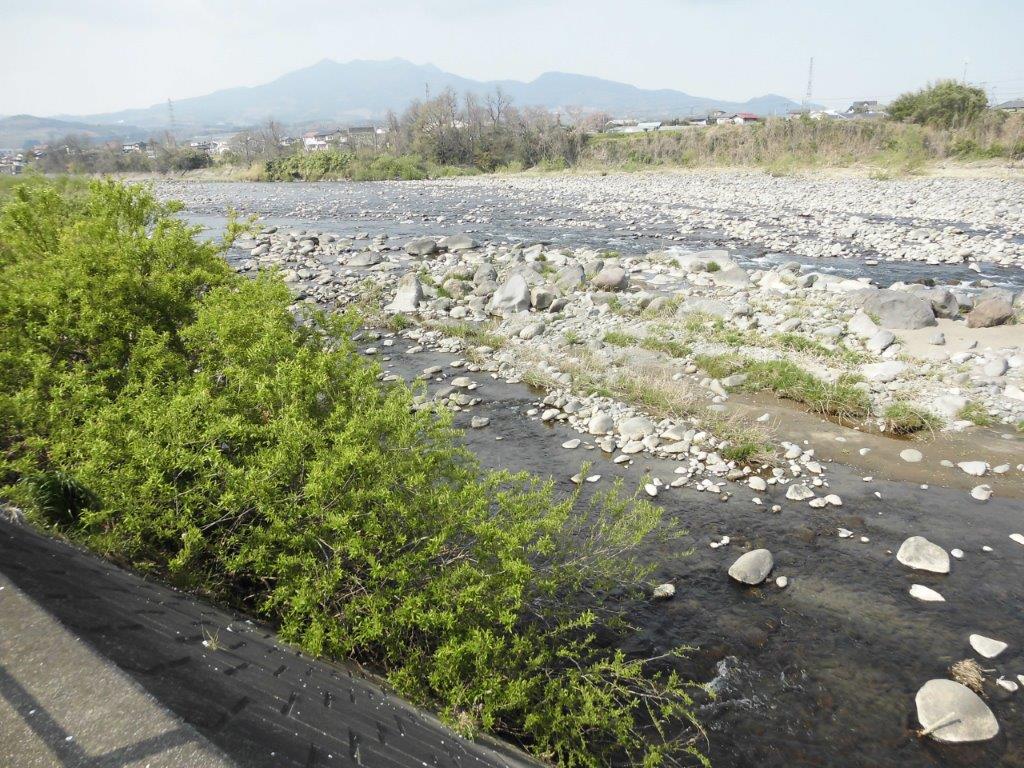 吾妻川と子持山遠望