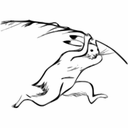 竹林通信　鳥獣戯画